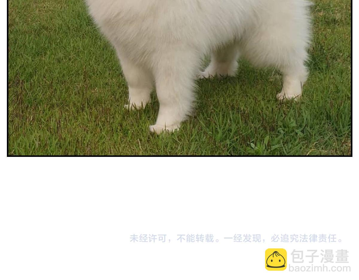 第16话 胖狗狗1-第84话