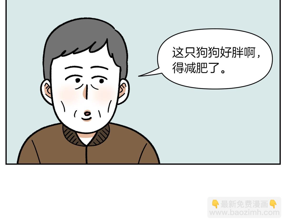 第16话 胖狗狗1-第84话