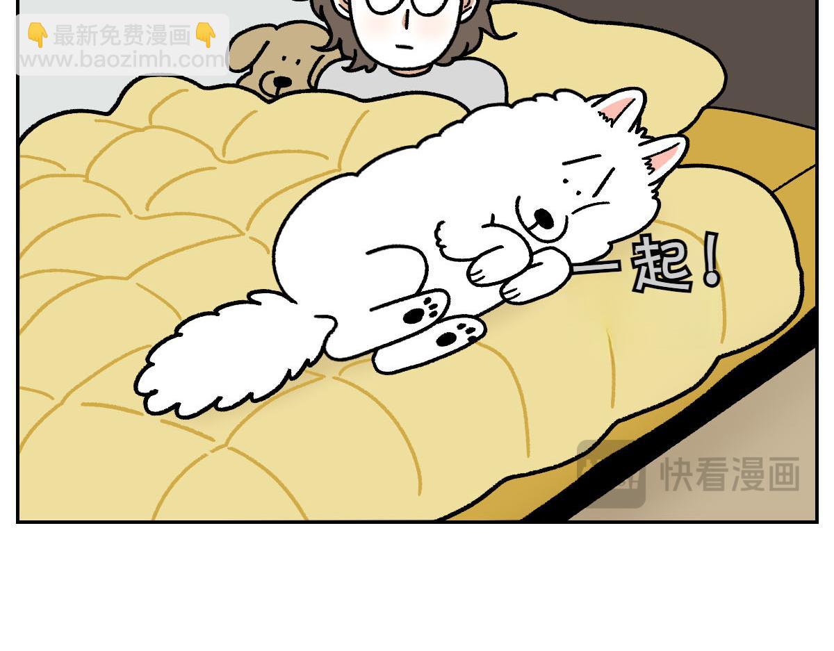 第18话 姐姐不在就难过的狗狗(1/2)-第86话