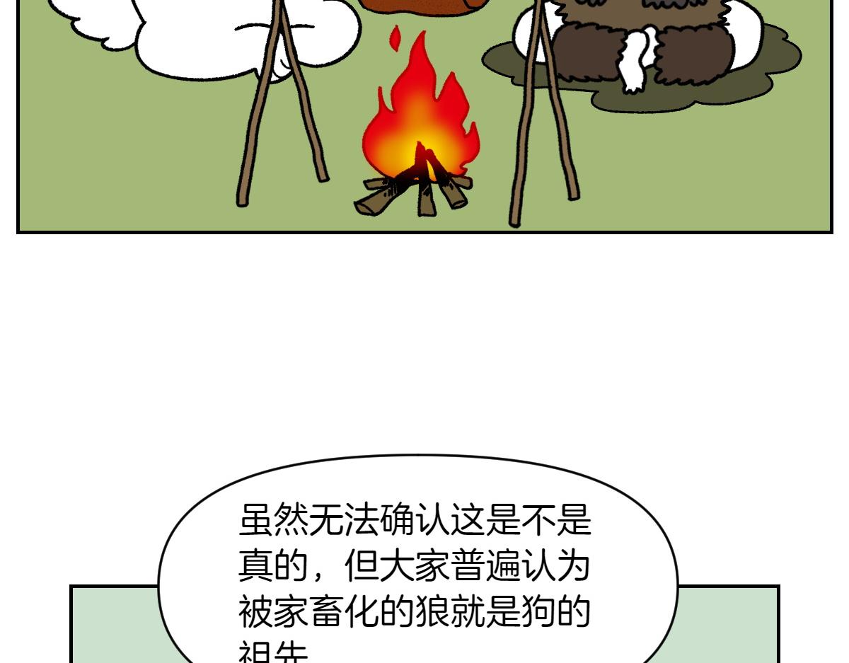 第20话 狼的后裔(1/2)-第88话