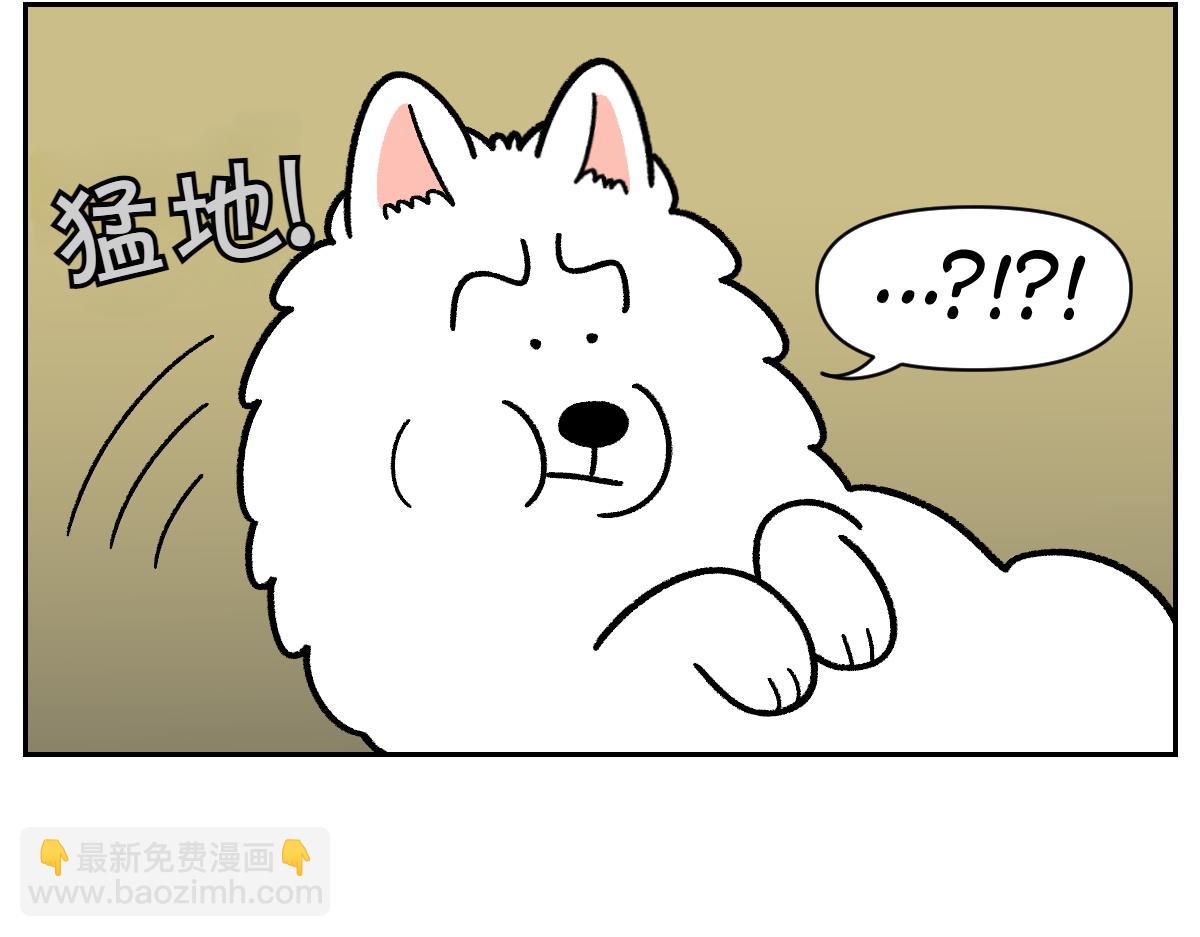 第22话 地毯1-第90话