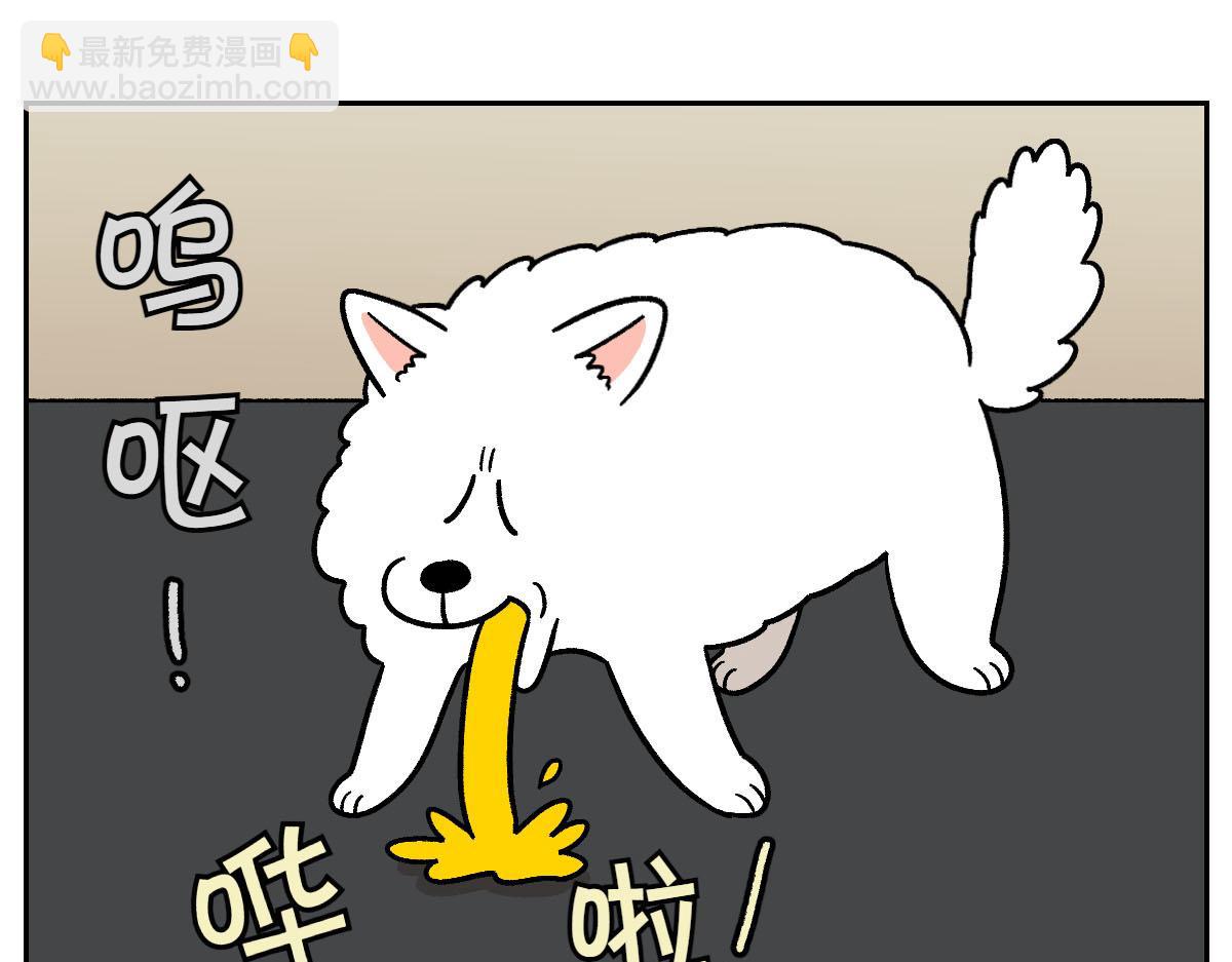 第22话 地毯1-第90话