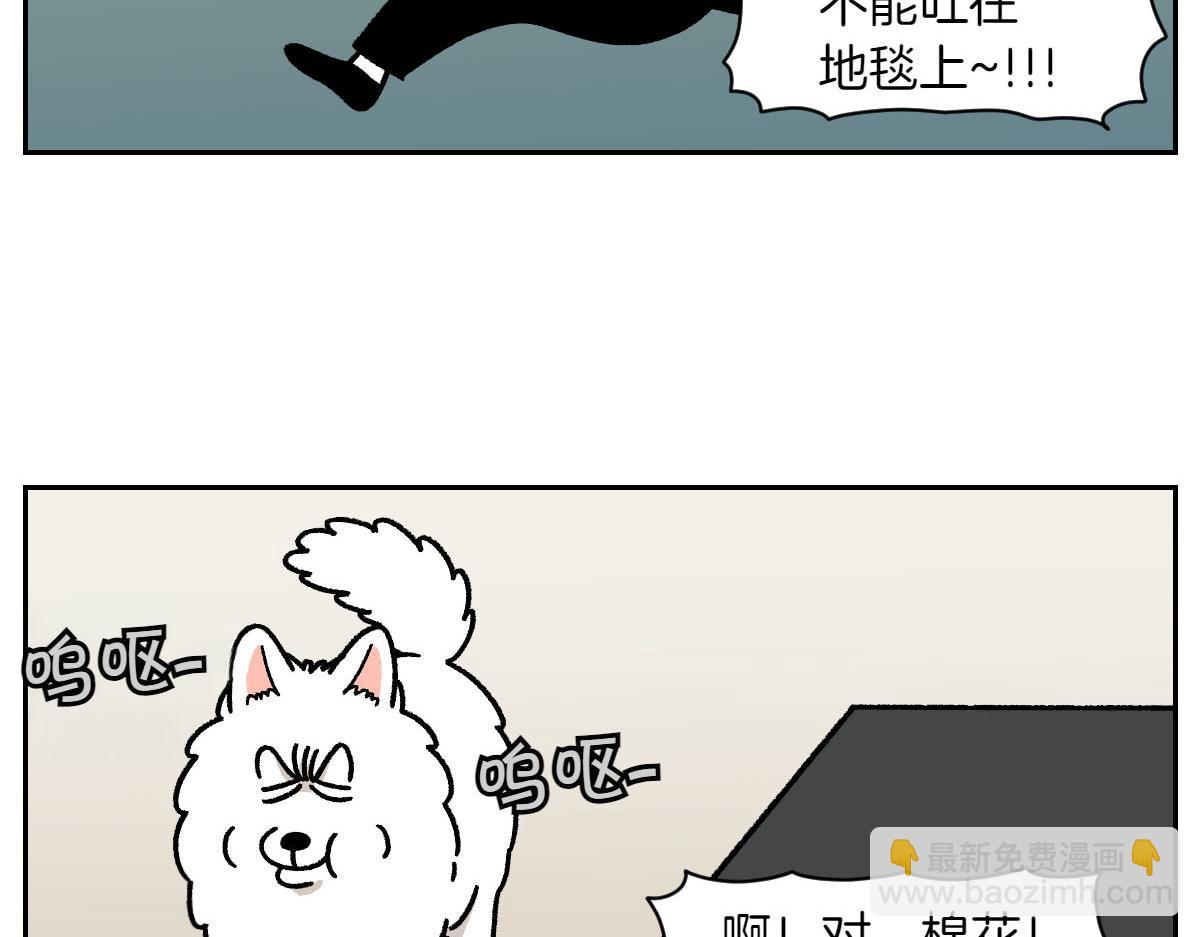 第22话 地毯1-第90话