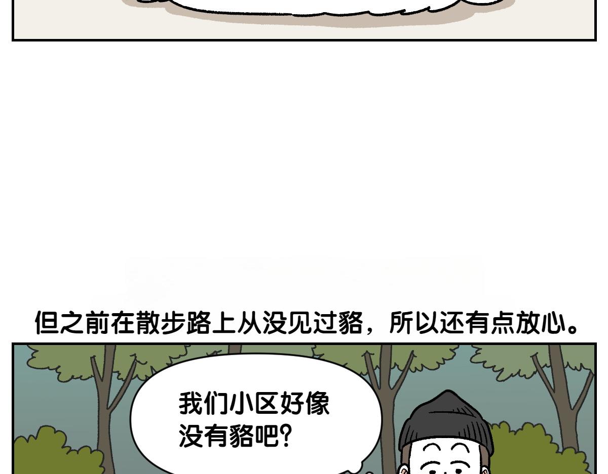 我的狗子叫棉花 - 第24話 貉 - 5