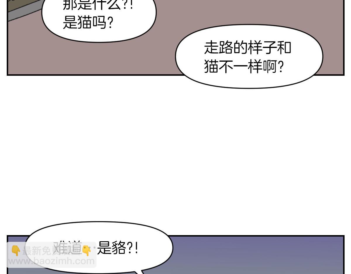 我的狗子叫棉花 - 第24話 貉 - 1