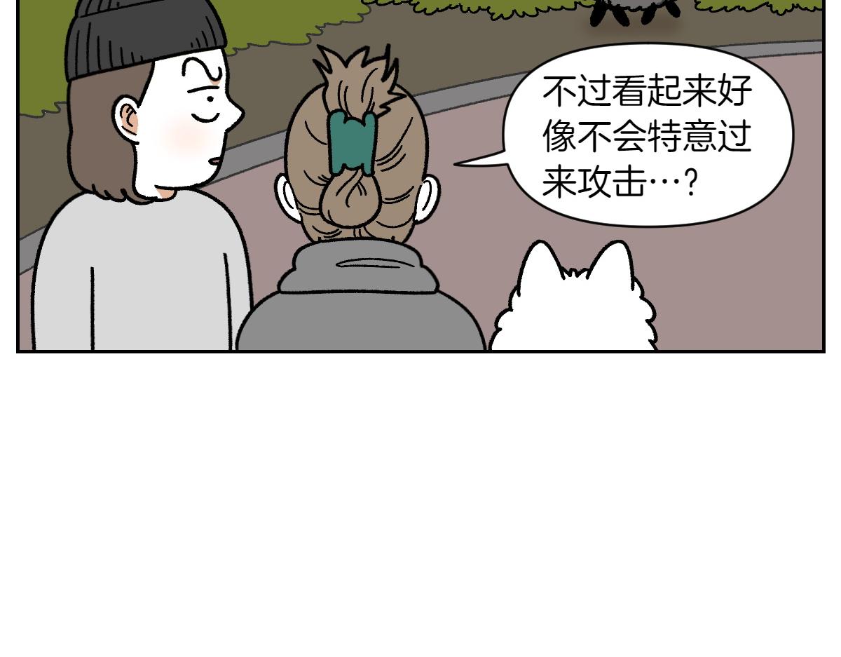 我的狗子叫棉花 - 第24話 貉 - 5