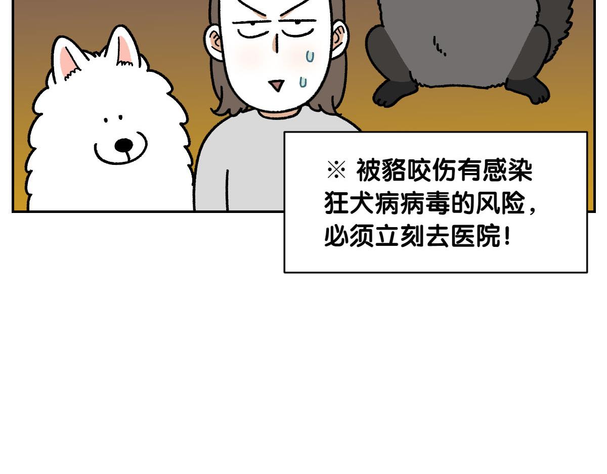 我的狗子叫棉花 - 第24話 貉 - 5