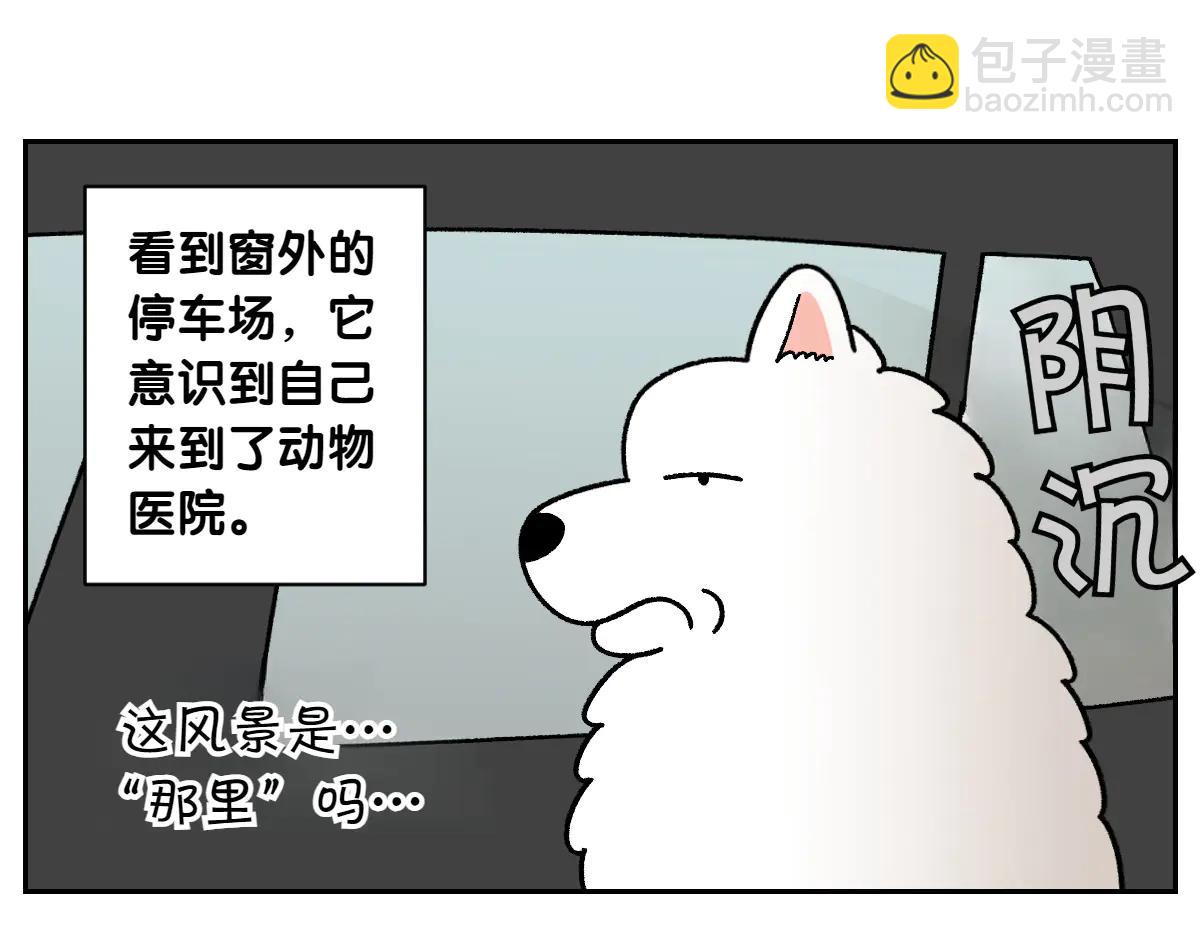 第26话 动物医院-第94话