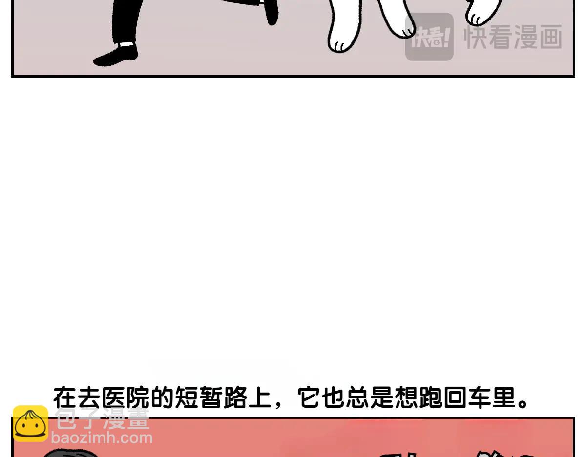 第26话 动物医院-第94话