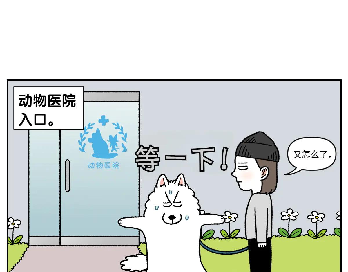 第26话 动物医院-第94话