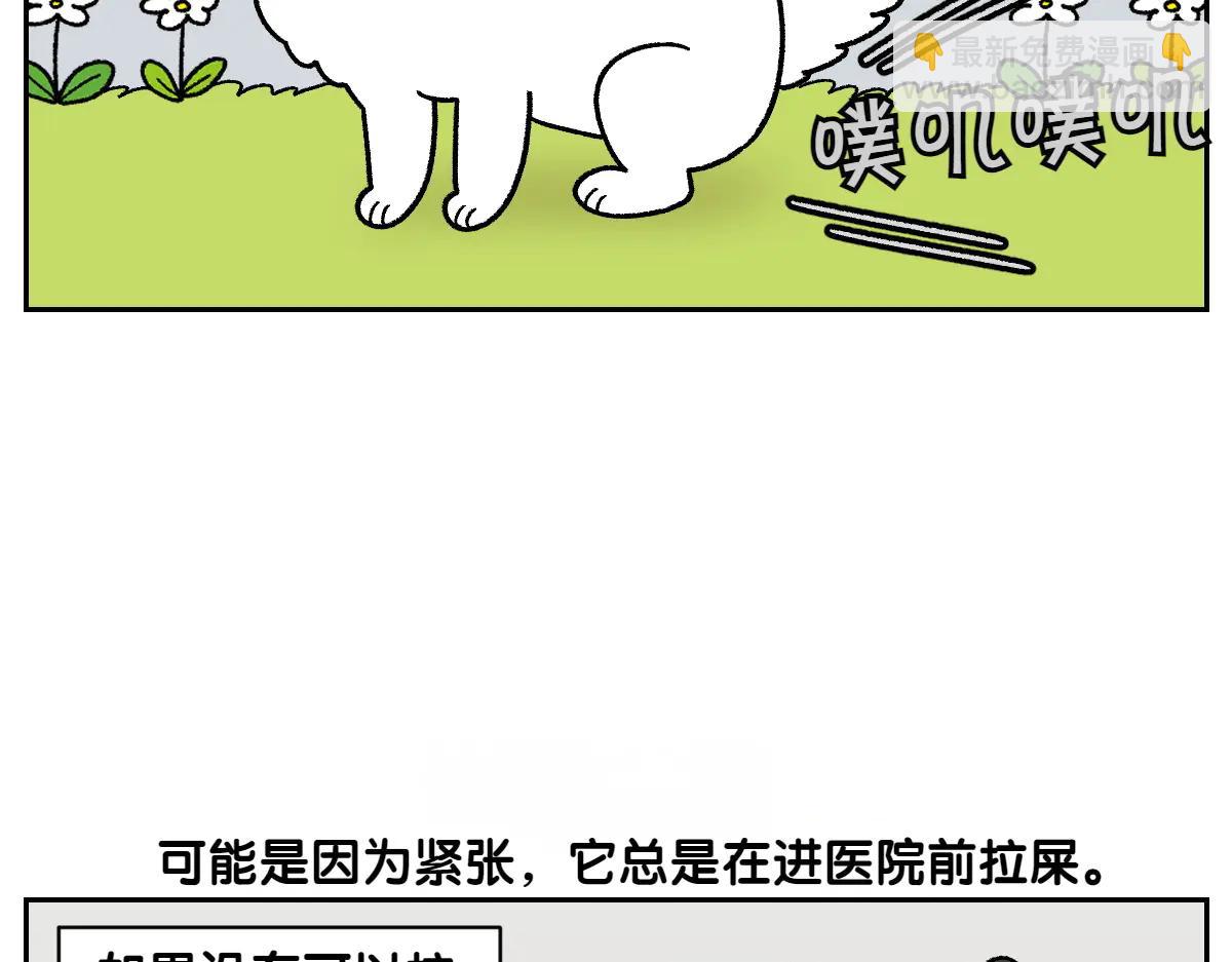 第26话 动物医院-第94话