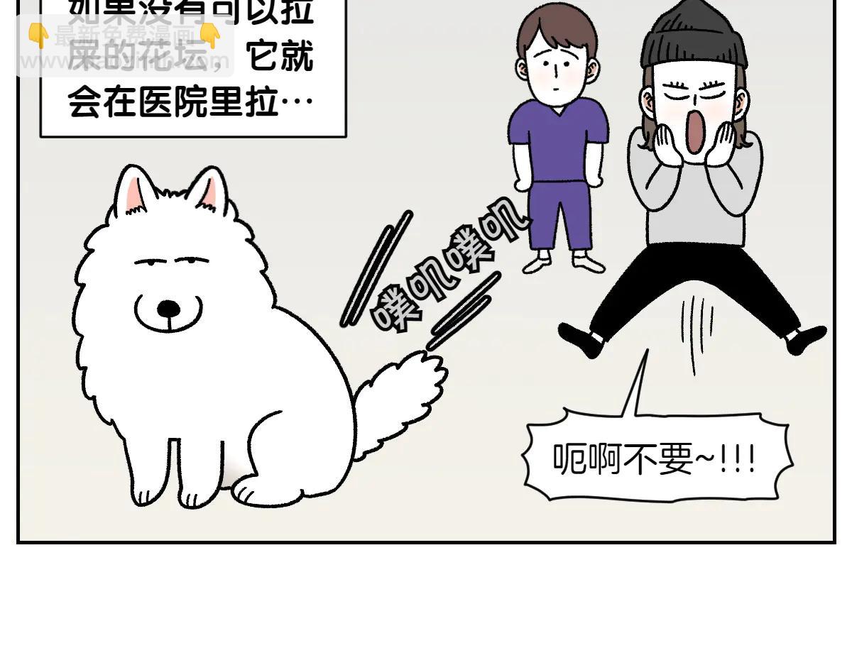 第26话 动物医院-第94话