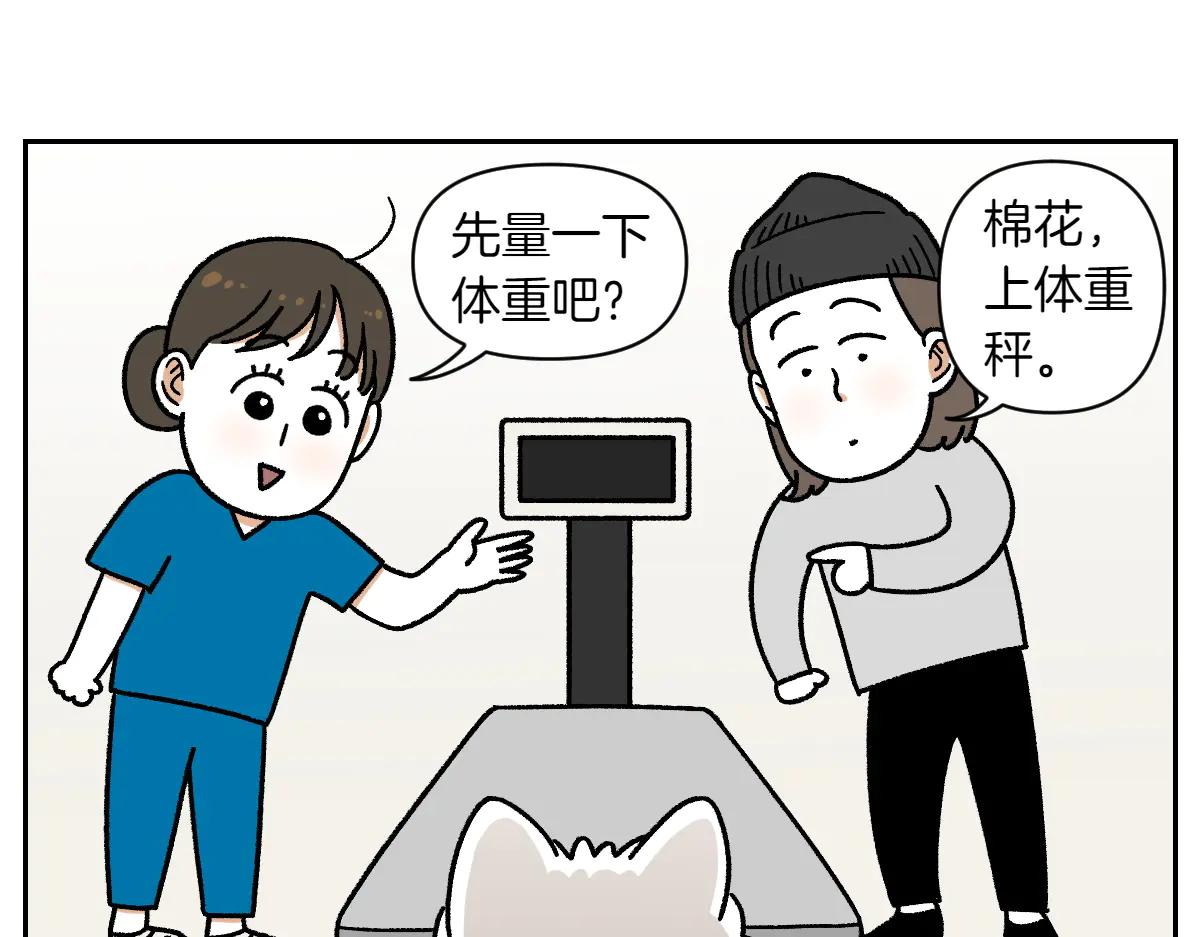 第26话 动物医院-第94话