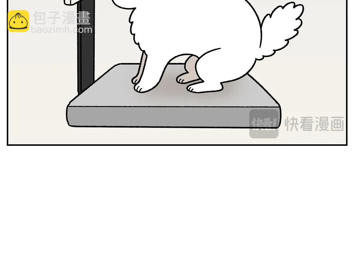 第26话 动物医院-第94话