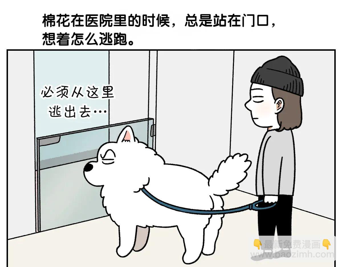 第26话 动物医院-第94话