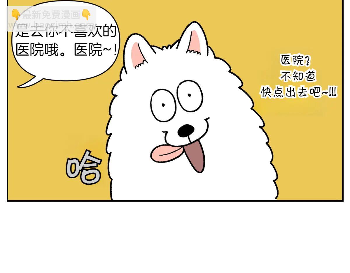 第26话 动物医院-第94话