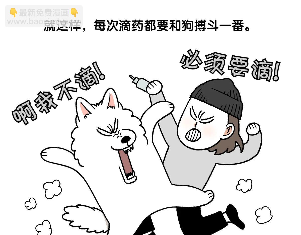第28话 狗狗药(1/2)-第96话