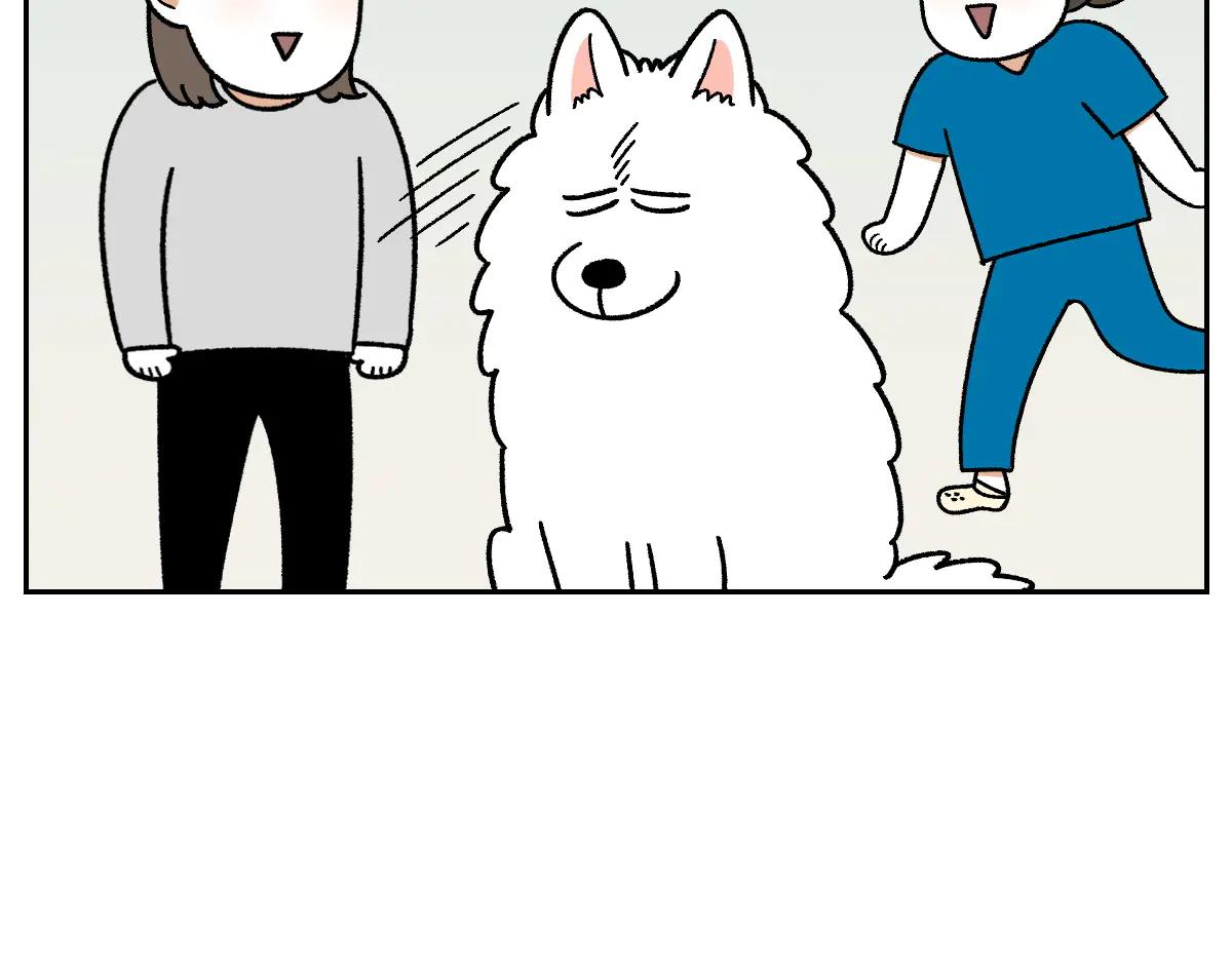 第28话 狗狗药(1/2)-第96话