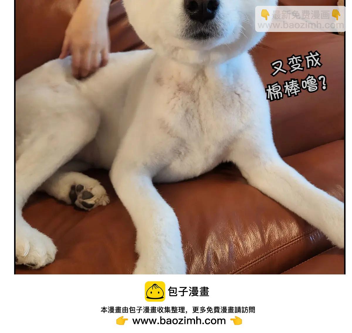 第30话 与耳病斗争(1/2)-第98话