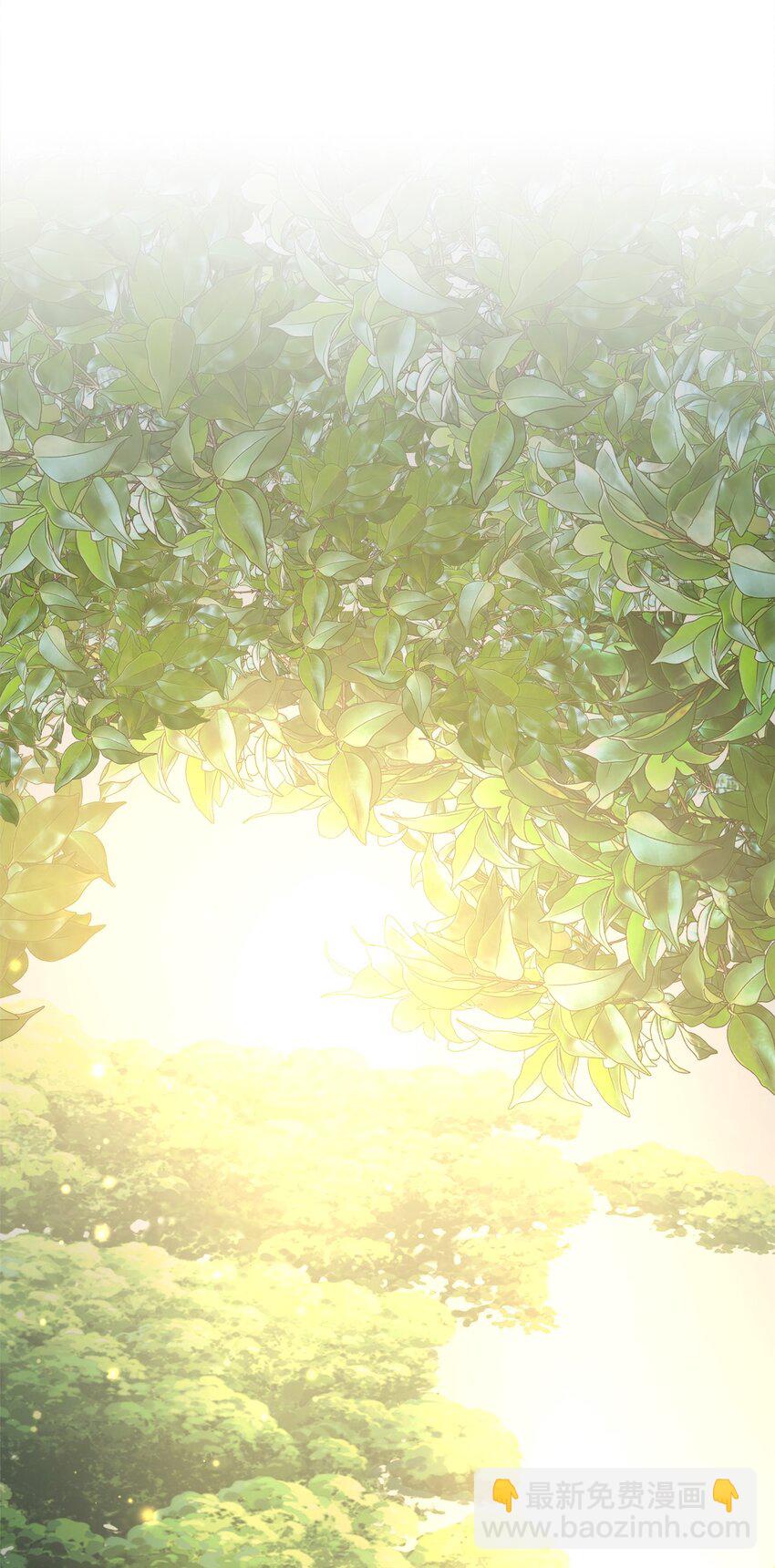 90 落入奇妙之境(1/2)-第90话