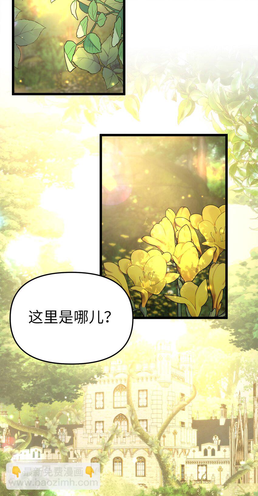 90 落入奇妙之境(1/2)-第90话