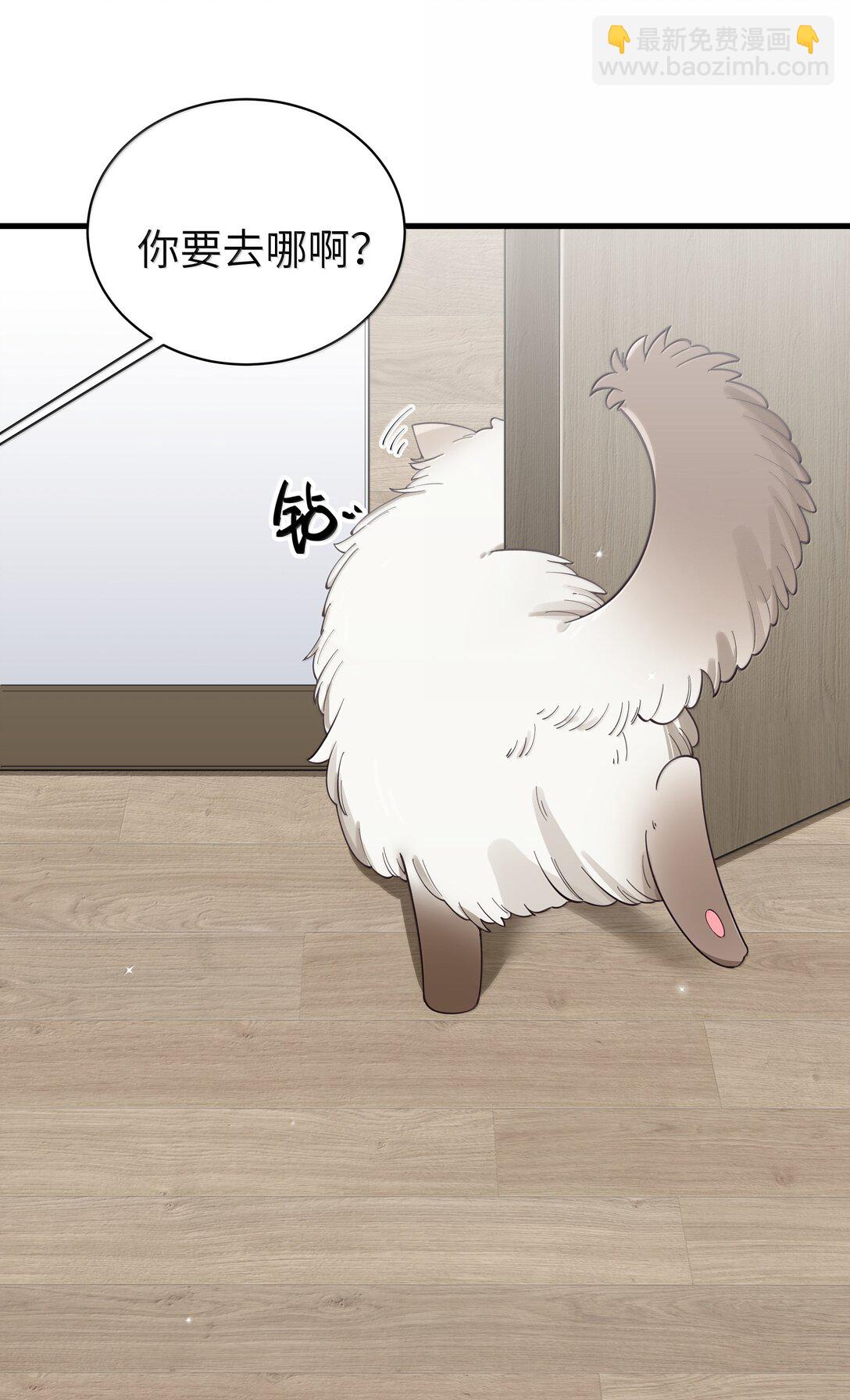 137 家里有只&hellip;猫娘？-第144话