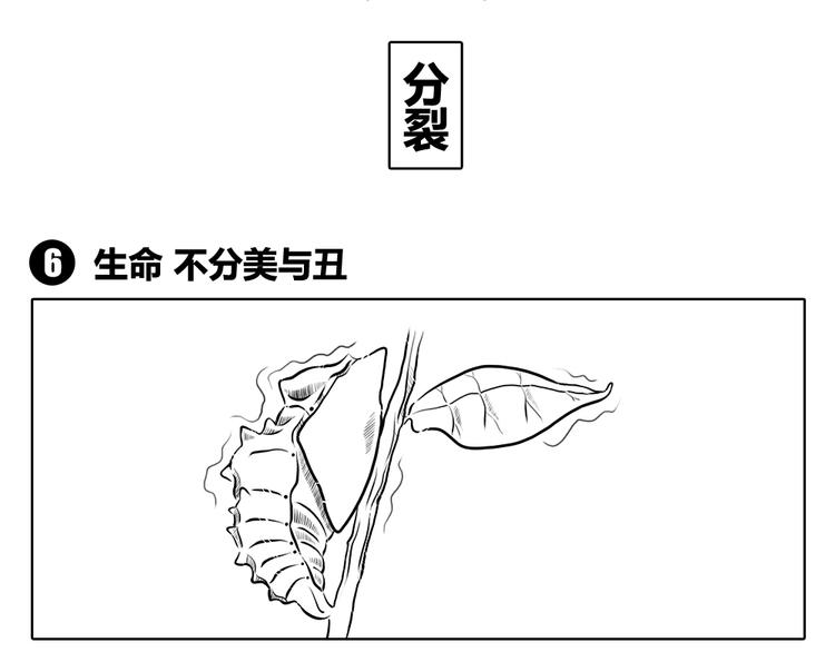 第二章 第2话 生命不分美与丑-第12话