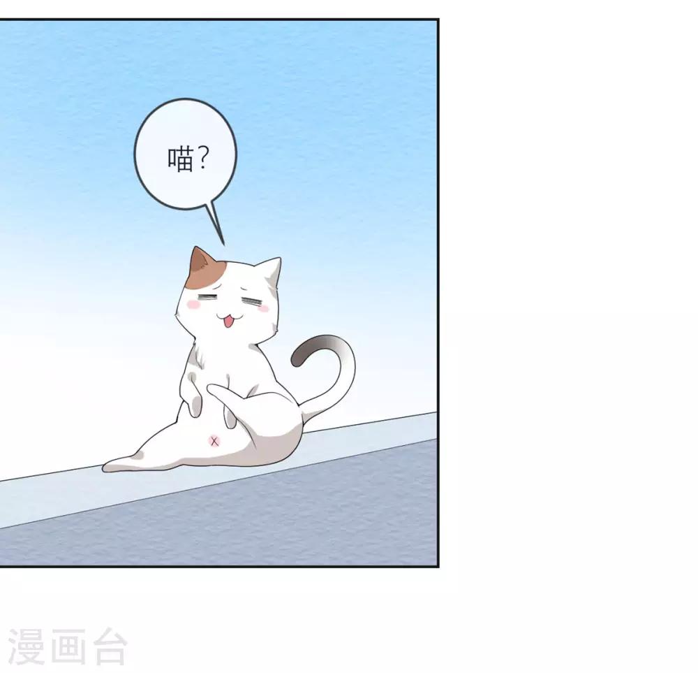 第19话 紧张刺激的监视日常-第20话