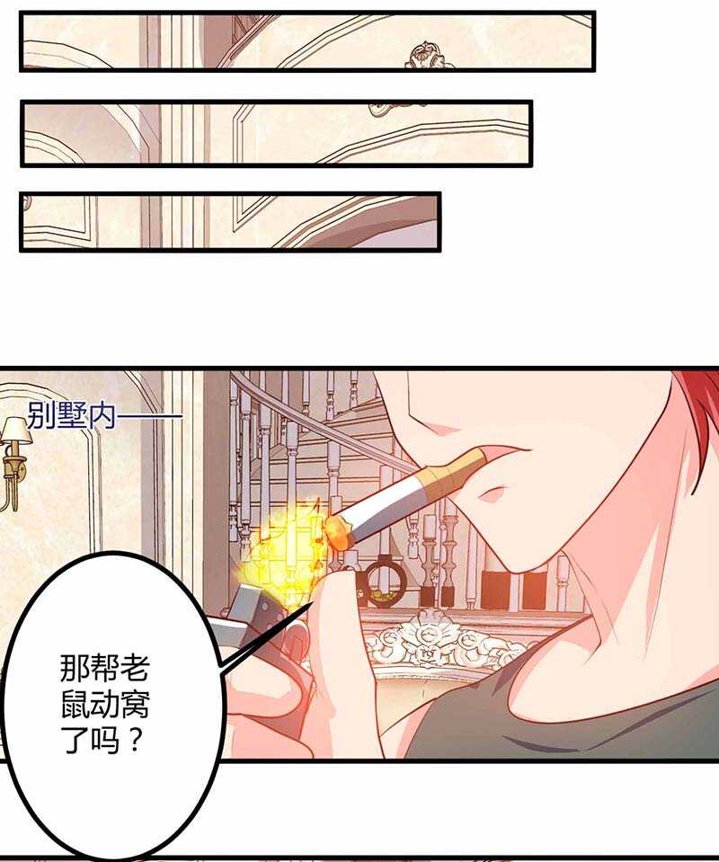 我的美女特工老婆 - 第34話 擒鯊行動開始 - 2