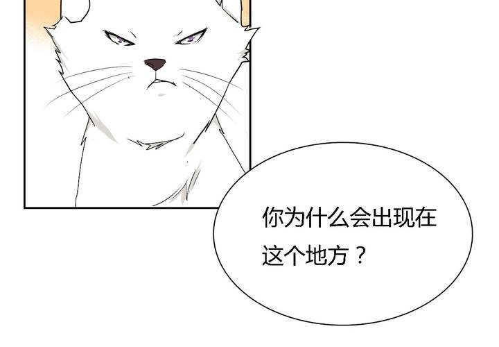 第25话 真相(1/2)-第26话