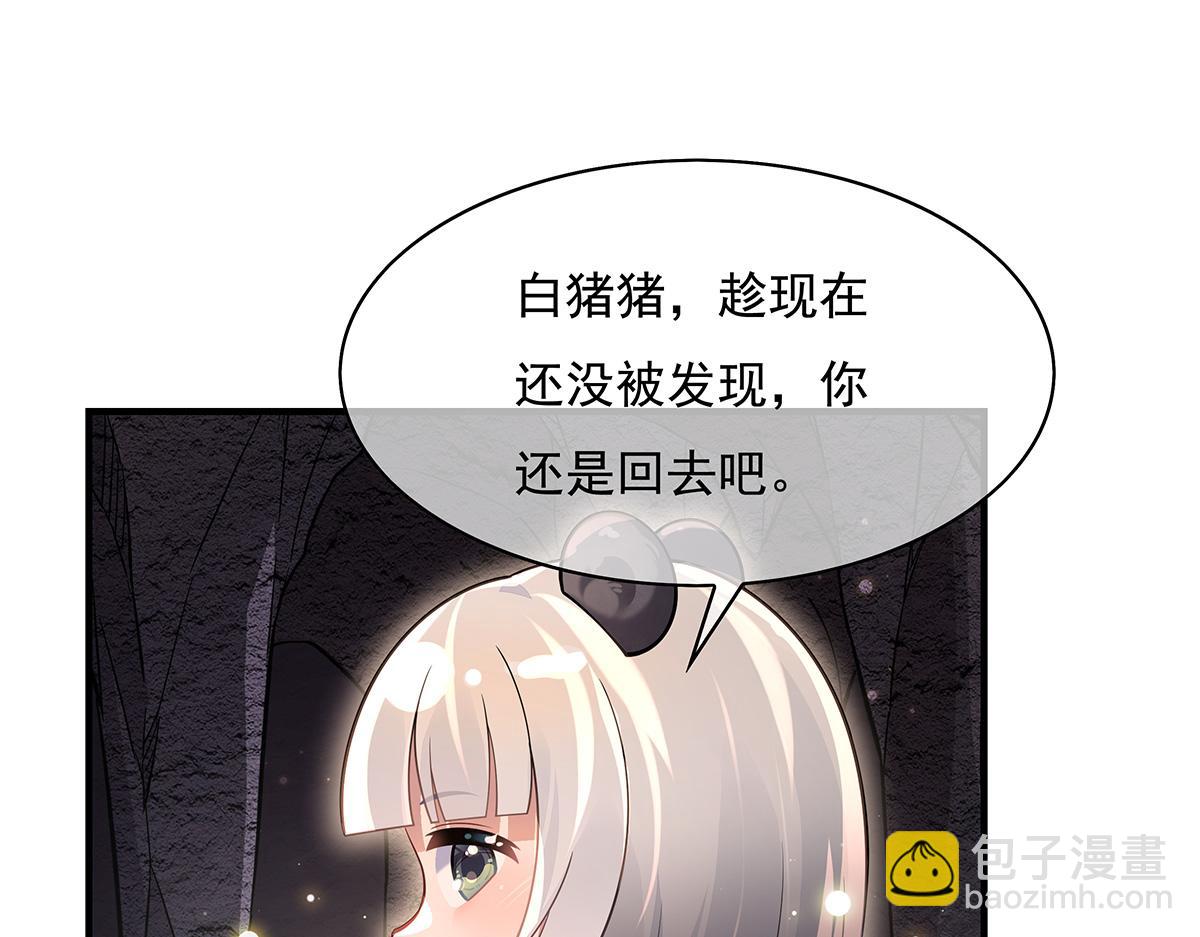 113.jpg