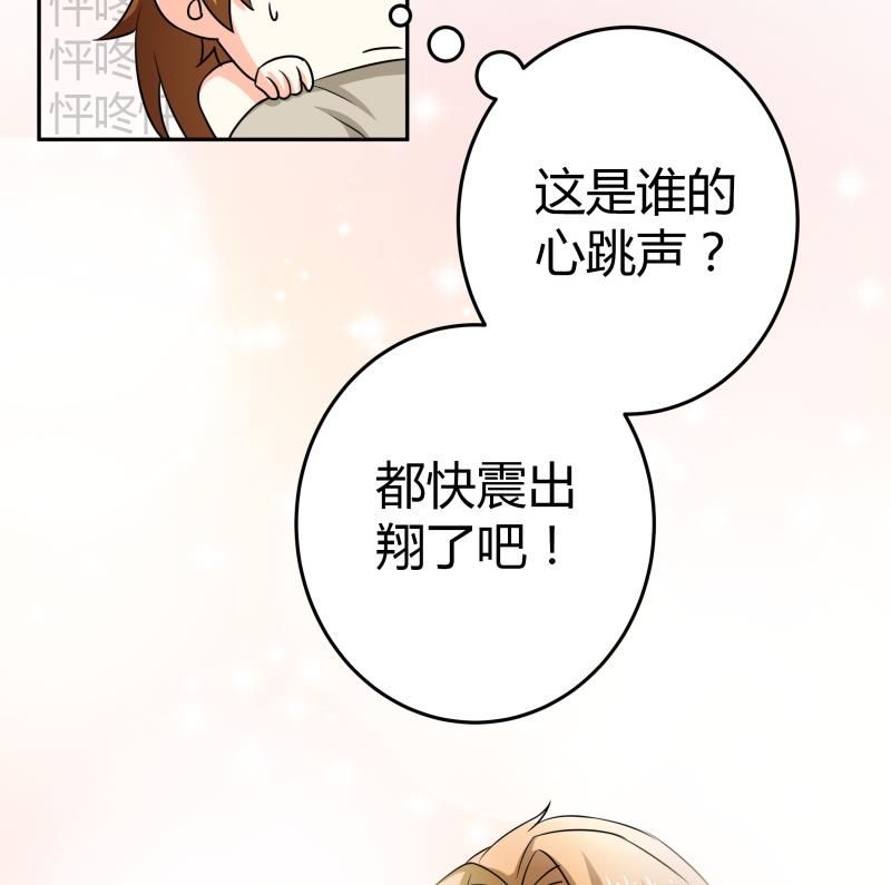 第19话 菊花的危机-第20话