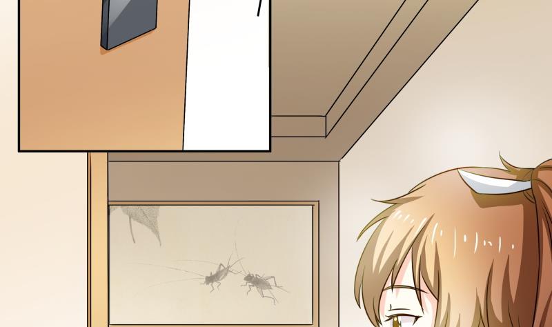 第19话 菊花的危机-第20话