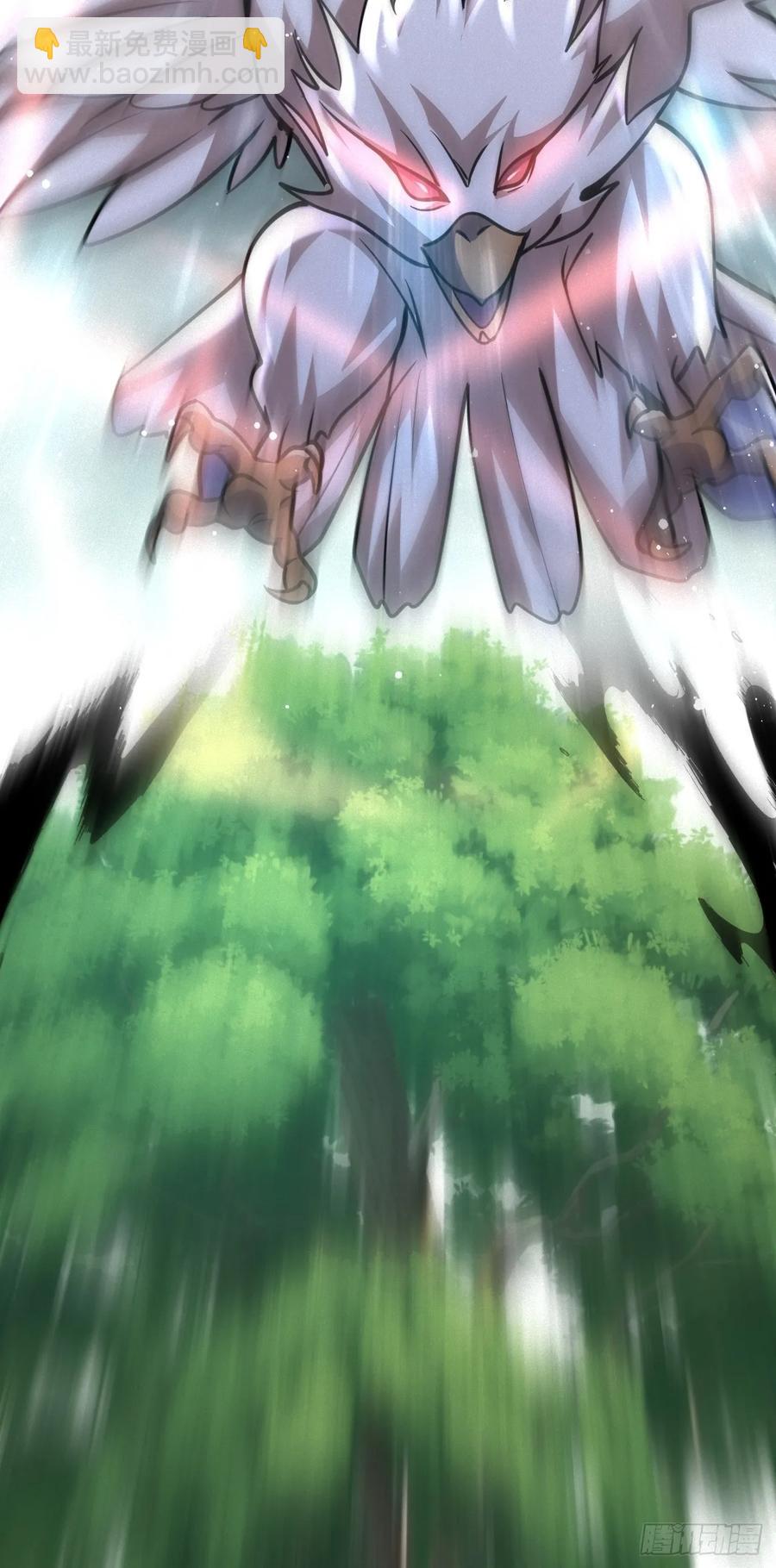 龟鹰争斗(1/2)-第42话