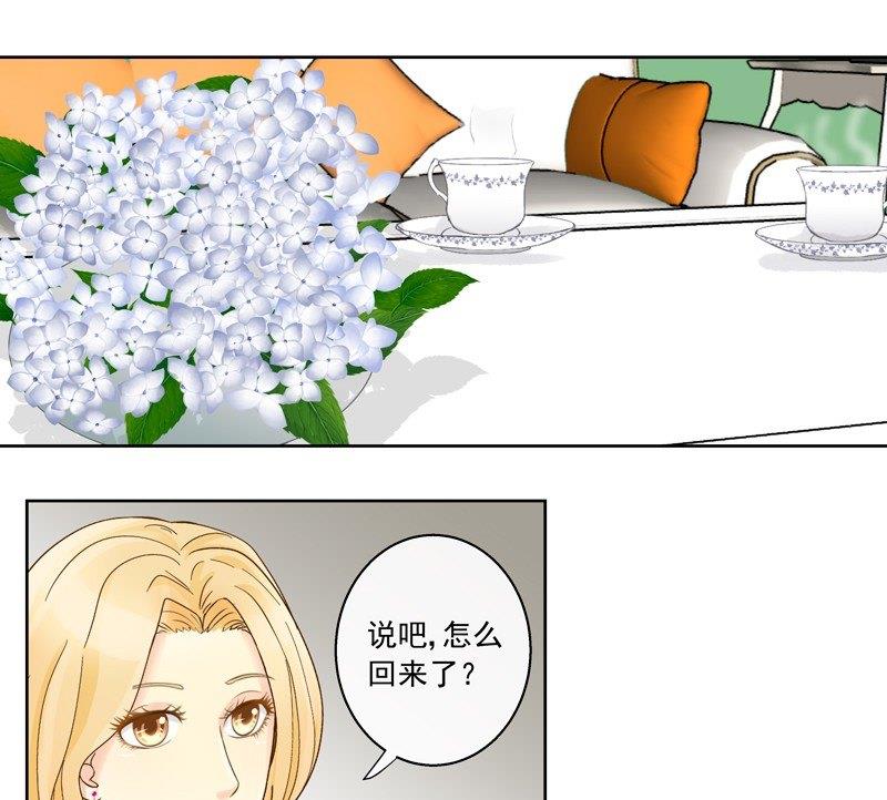 第42话 我的全能经纪-第42话