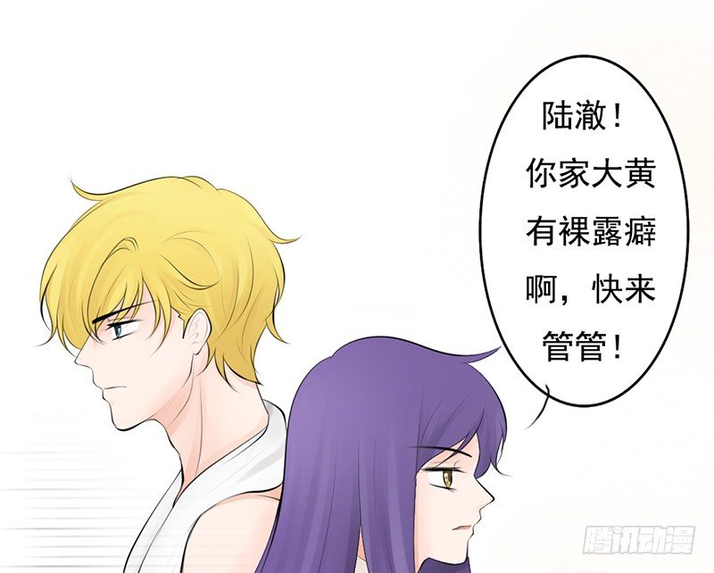 第33话 来炫耀你家女人啊！-第32话