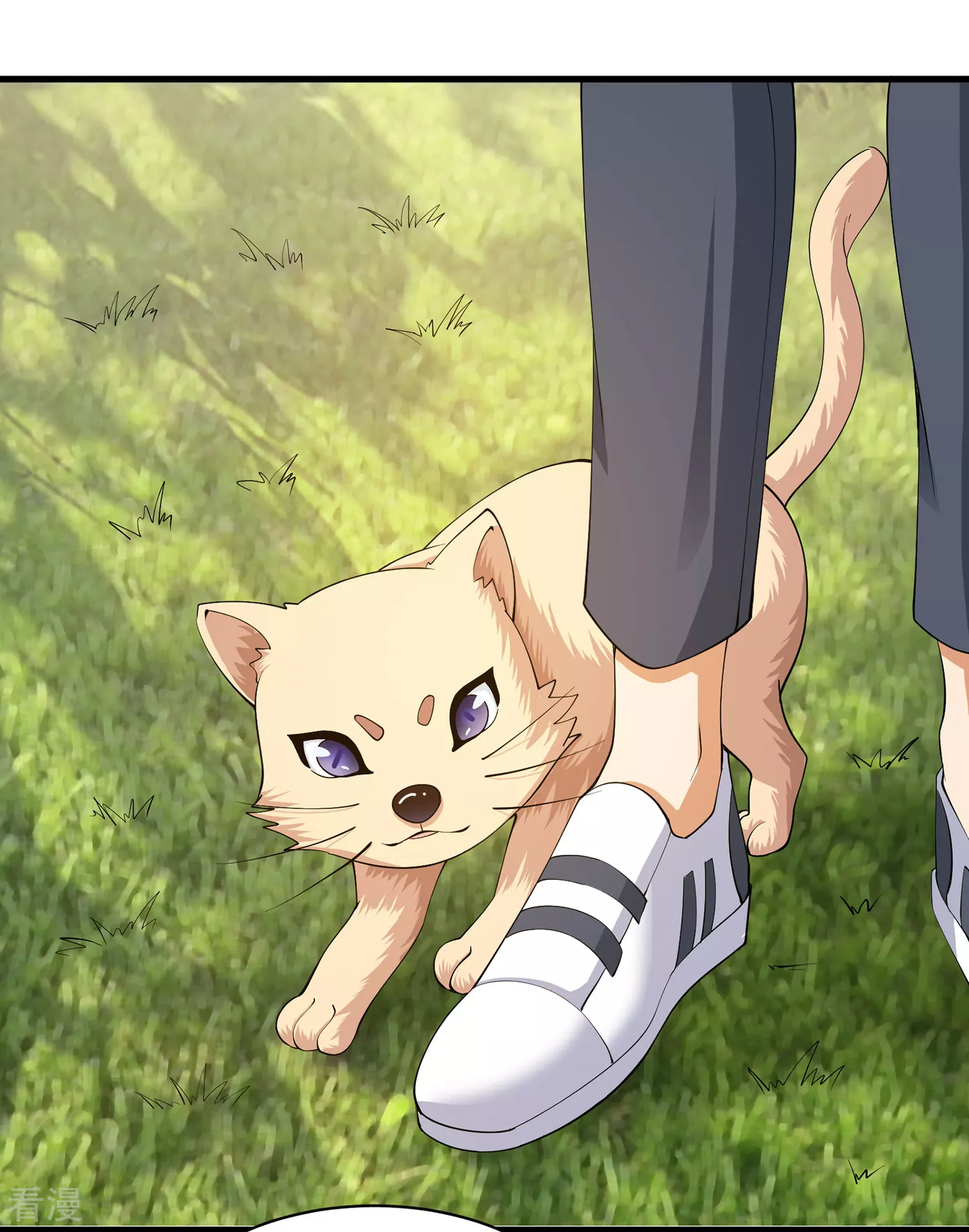 第31话 会变猫的女孩-第32话