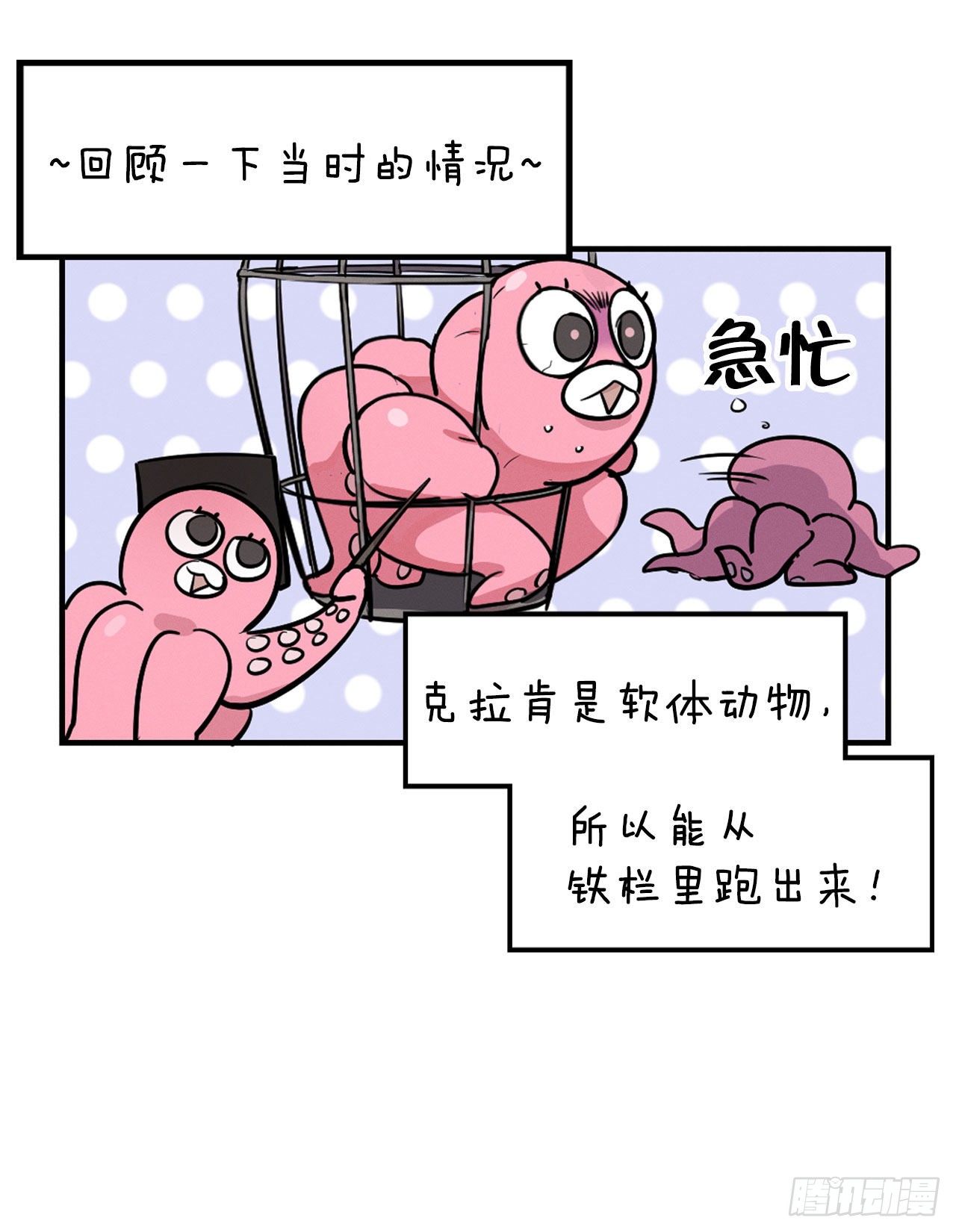 9.嘤嘤(1/2)-第10话