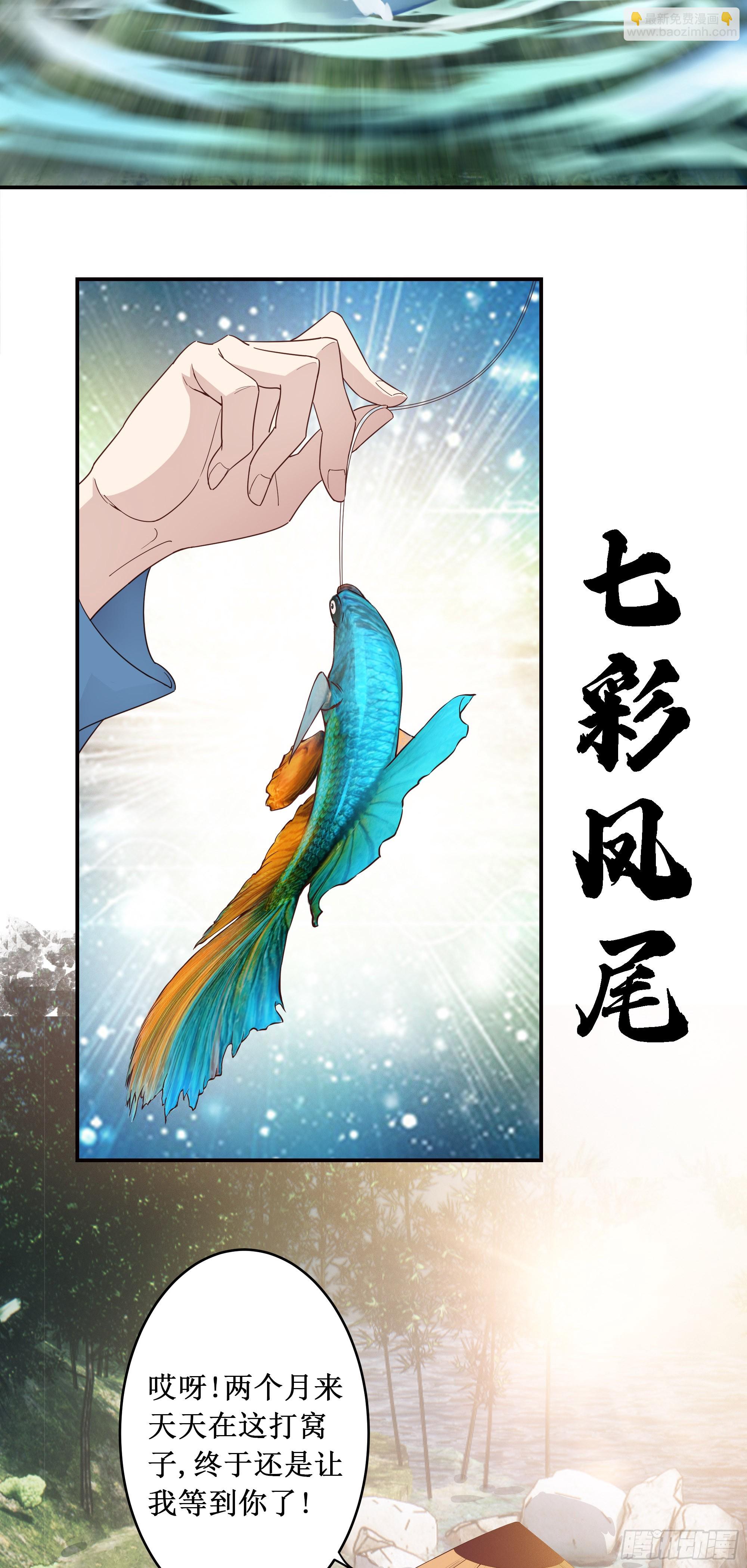 3   七彩凤尾-第4话