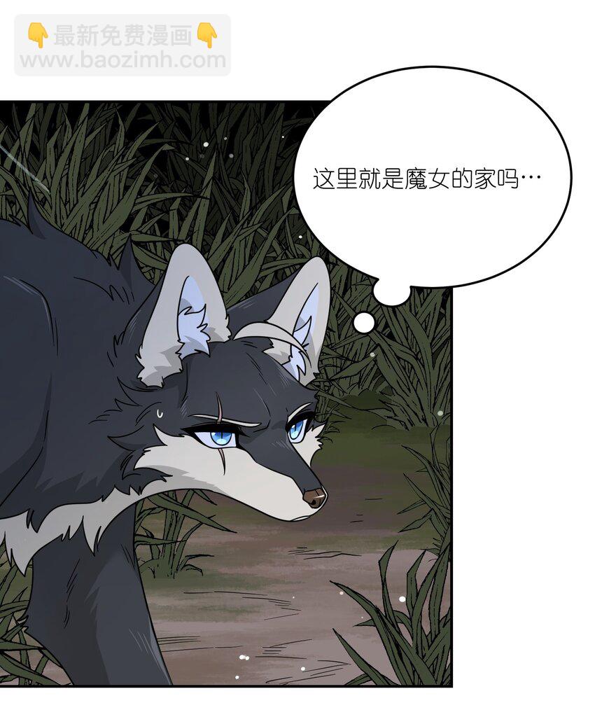 特别篇 猎人与狼：高赏金的委托(1/2)-第134话