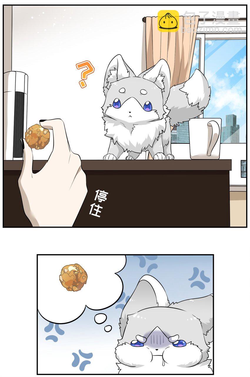 035 小可爱~-第36话