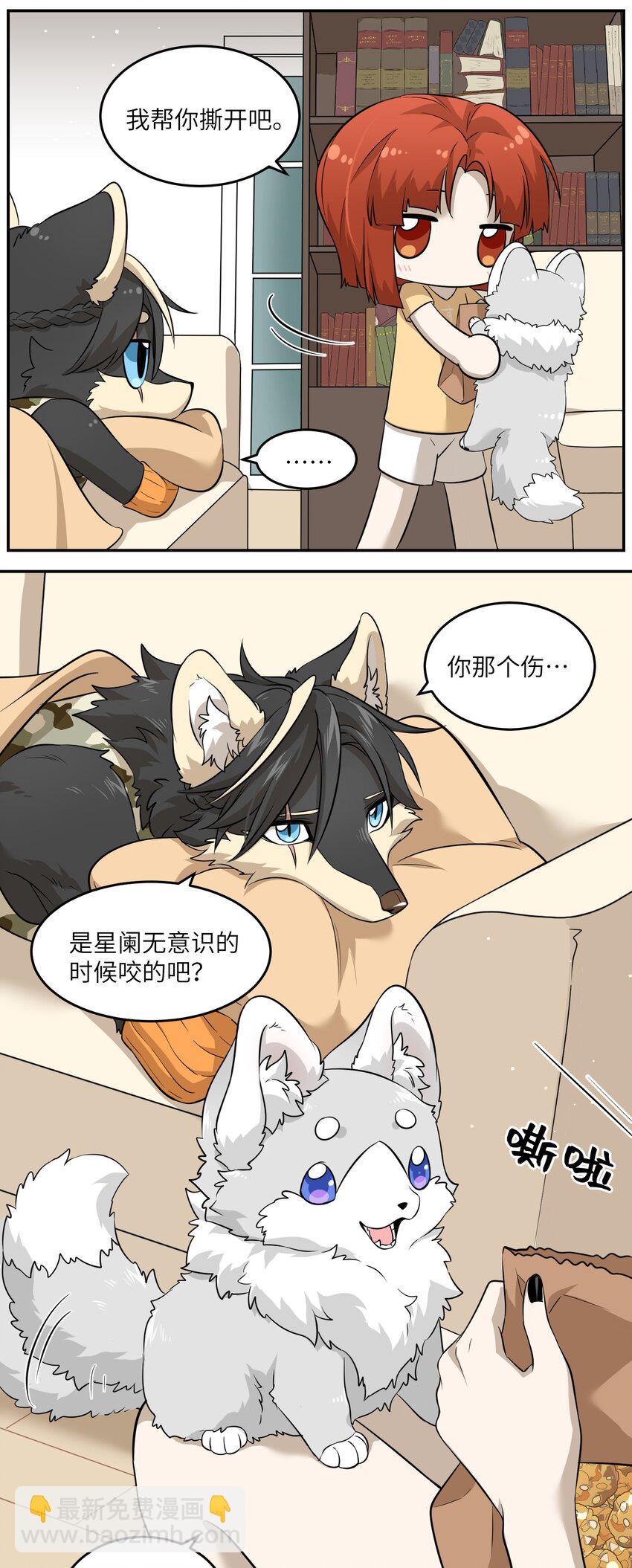 035 小可爱~-第36话