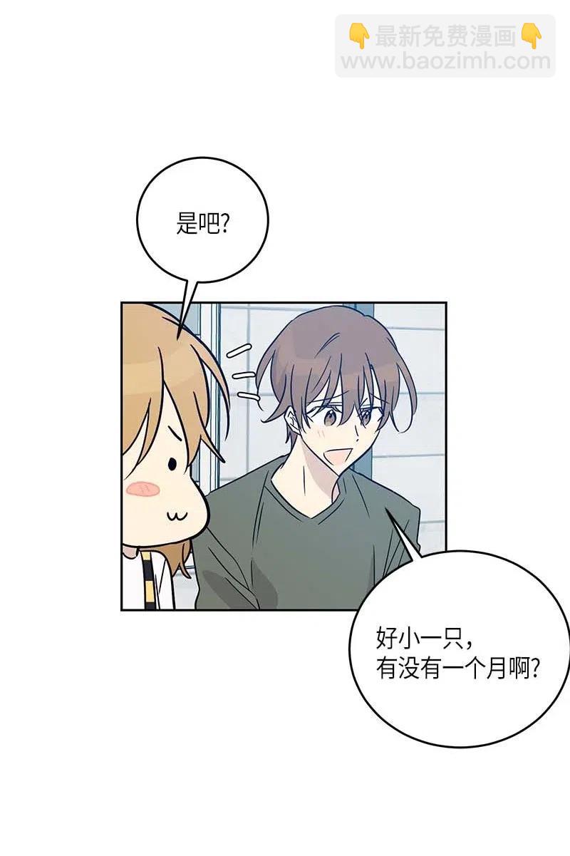 52 添新成员(1/2)-第46话