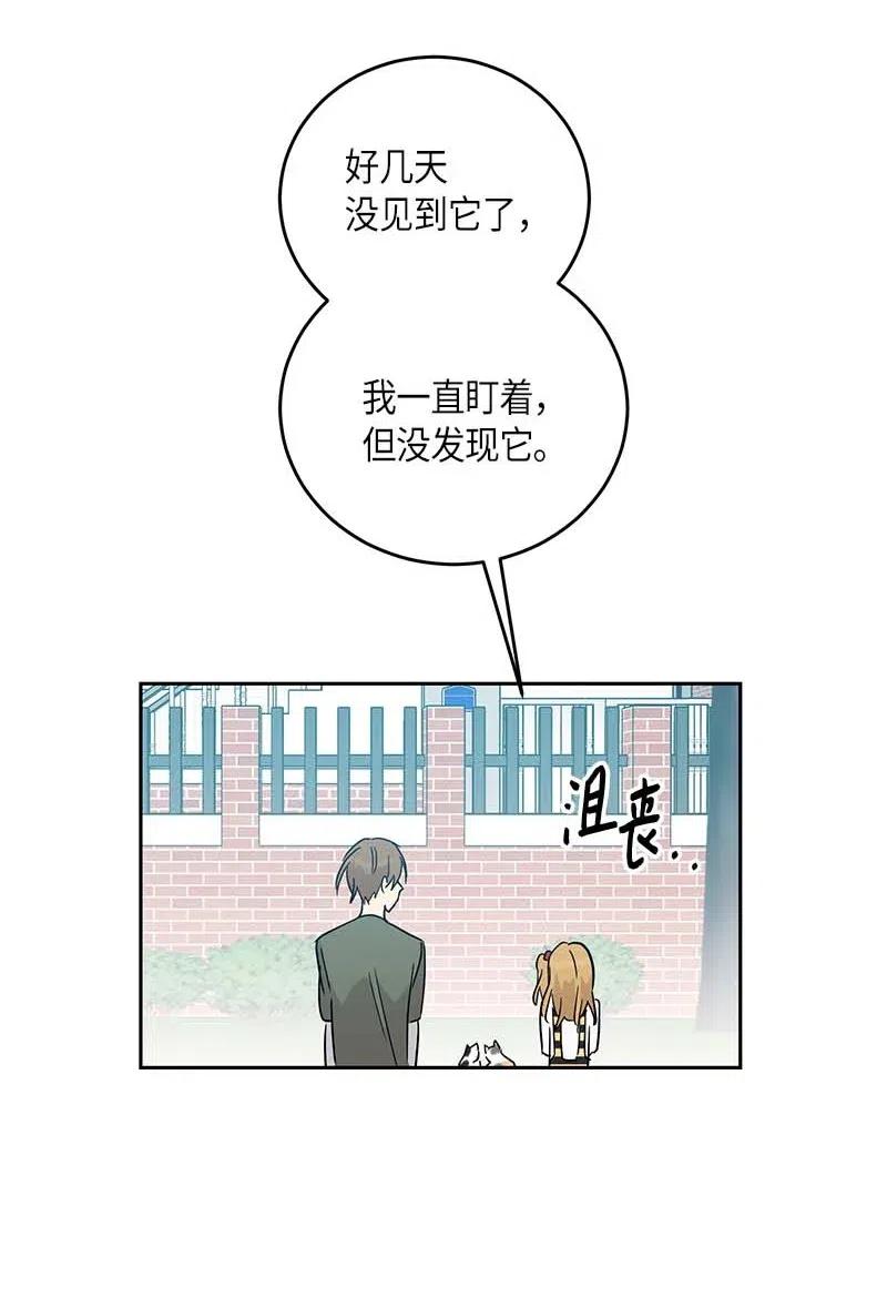 52 添新成员(1/2)-第46话