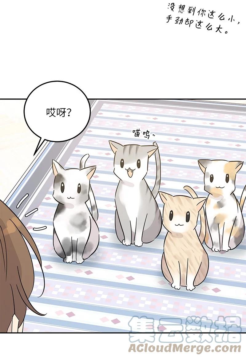 80 录歌完成回家(1/2)-第74话