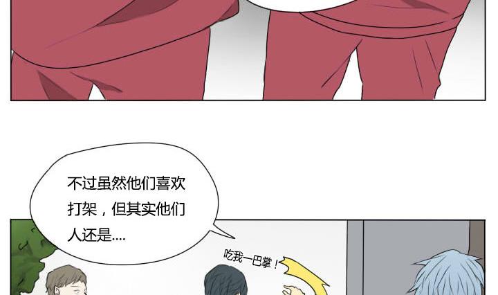 第74话 两两成对-第74话