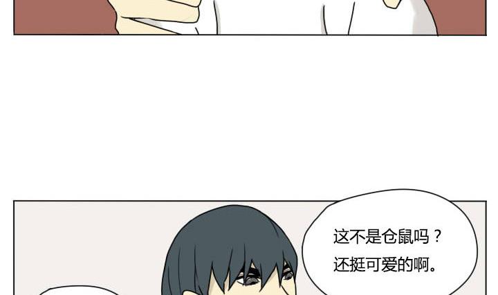 第98话 仓鼠君-第98话