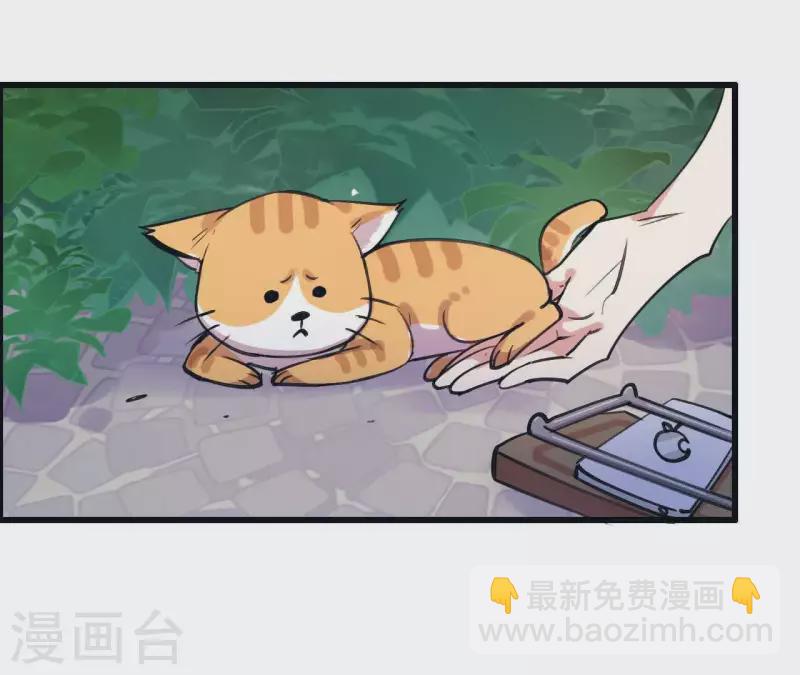 第14话 白莲登场(1/2)-第14话