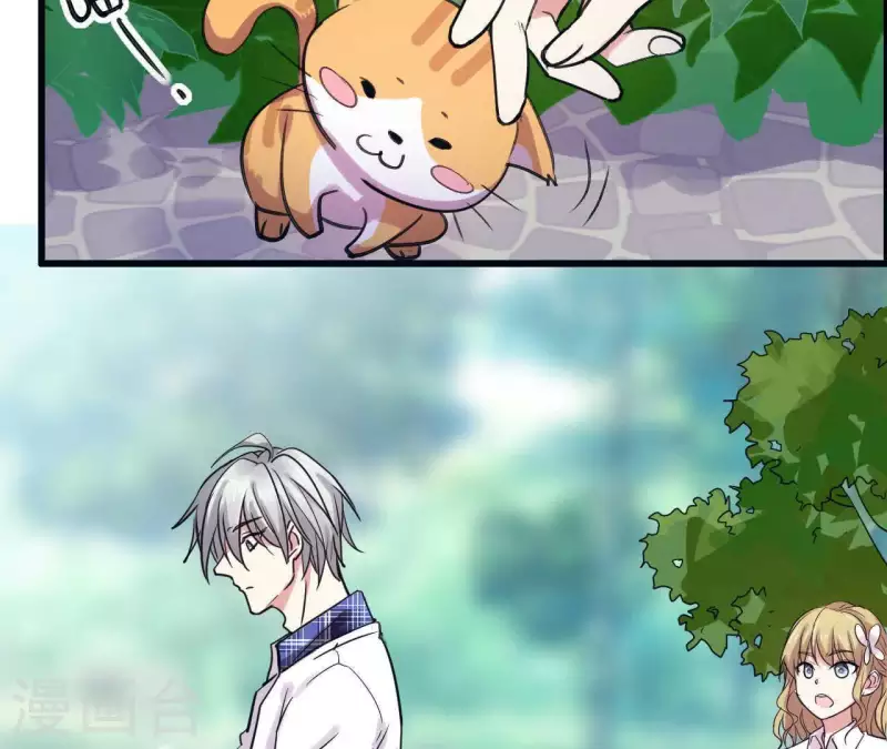 第14话 白莲登场(1/2)-第14话