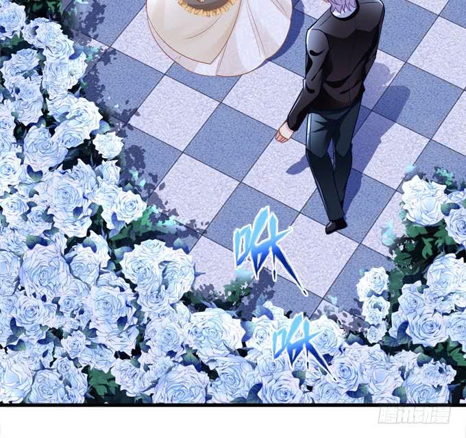 今夜，惊喜不断-第162话